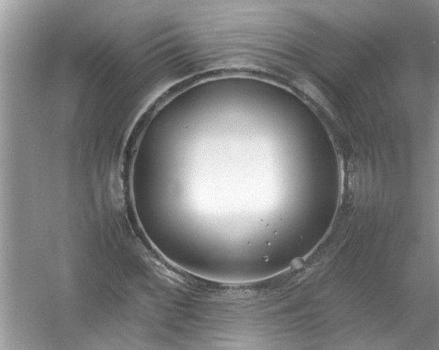 X0000054431068200508051827