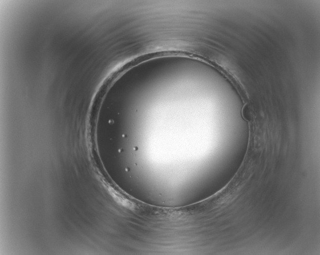 X0000054431072200508051826