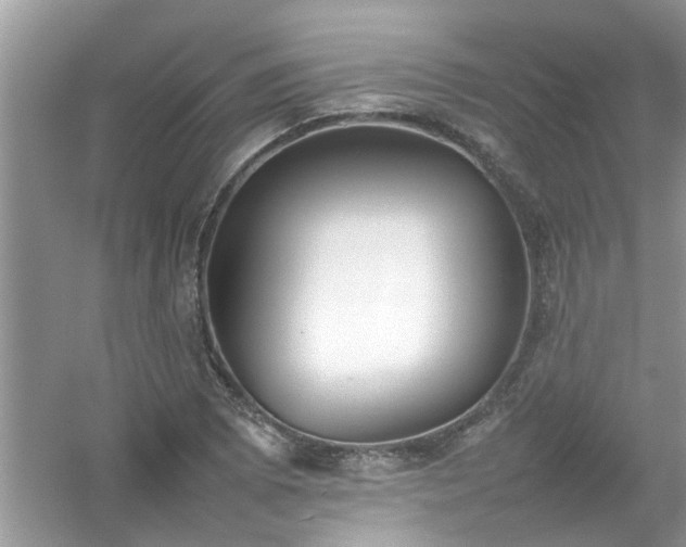 X0000054431073200508051826