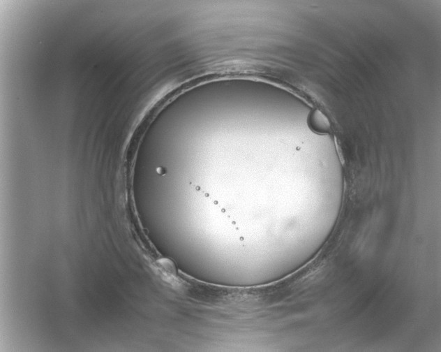 X0000054431075200508051826