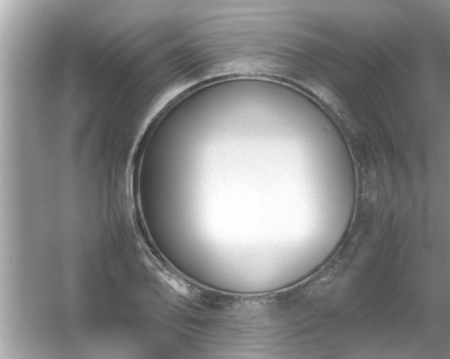 X0000054431078200508051826