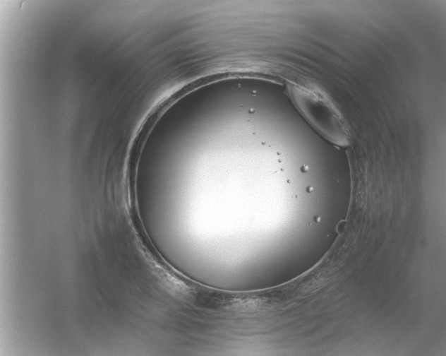 X0000054431080200508051826