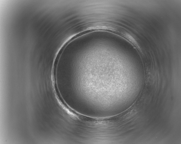 X0000054431084200508051826