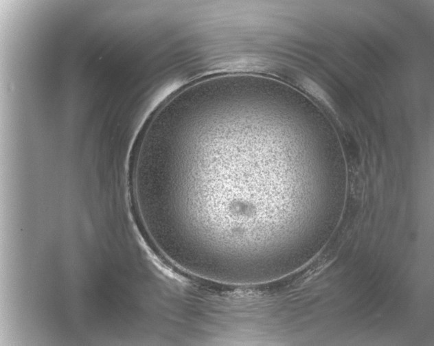 X0000054431087200508051826