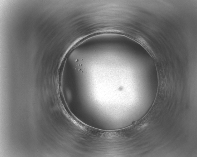 X0000054431092200508051826