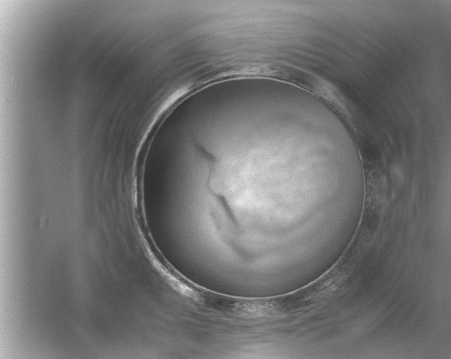 X0000054431095200508051826