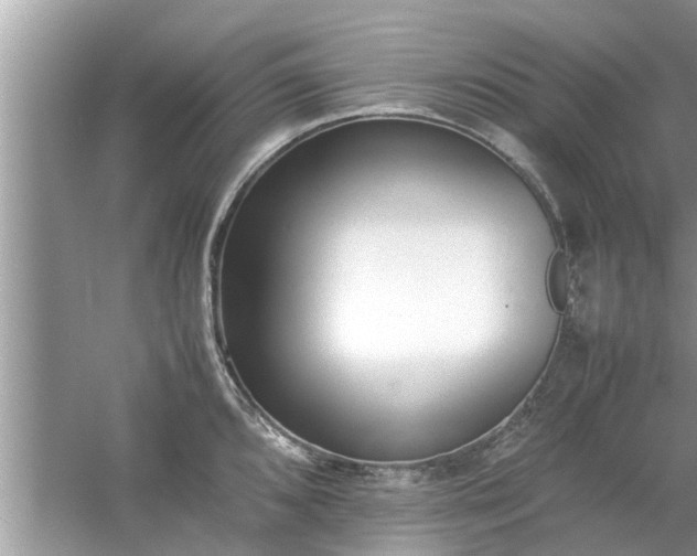 X0000054431096200508051826