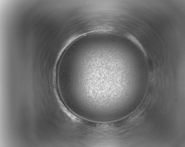 X0000054431099200508051826