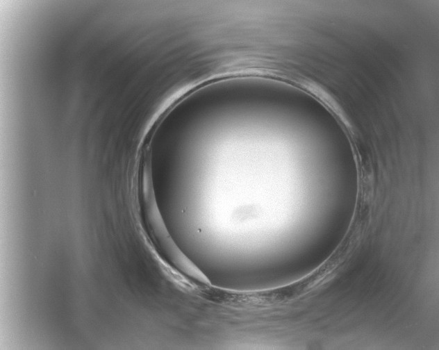 X0000054431101200508051826