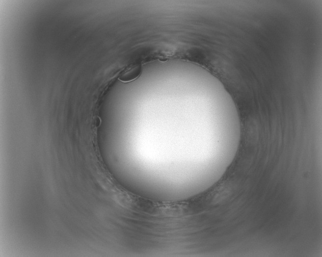 X0000054431105200508051825