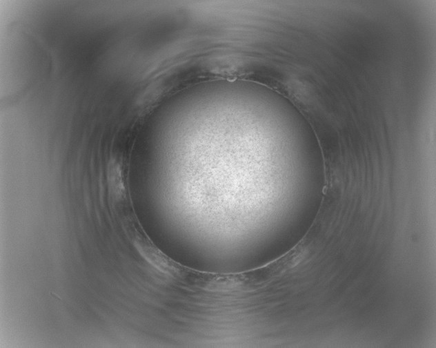 X0000054431106200508051825