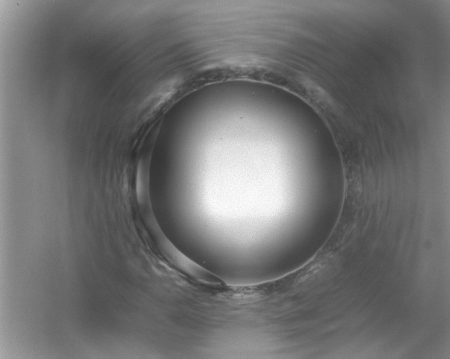 X0000054431110200508051825