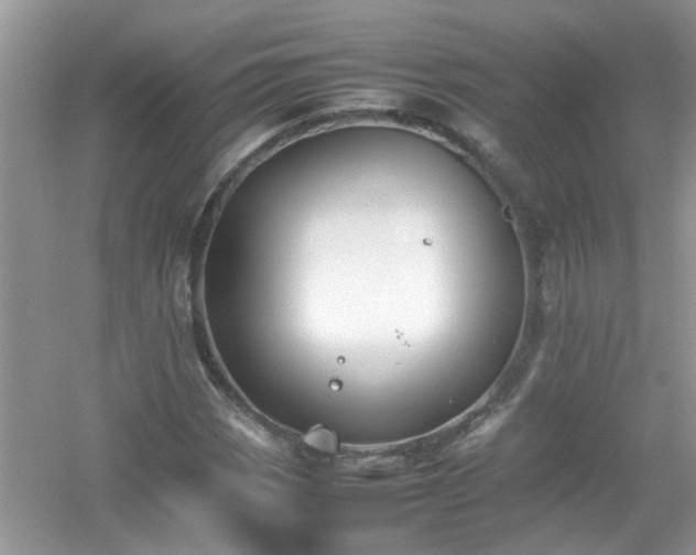 X0000054431113200508051825