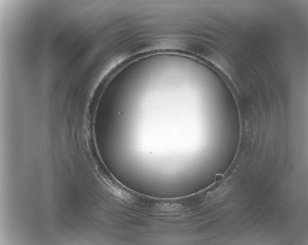 X0000054431119200508051825