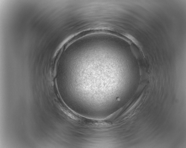 X0000054431120200508051825