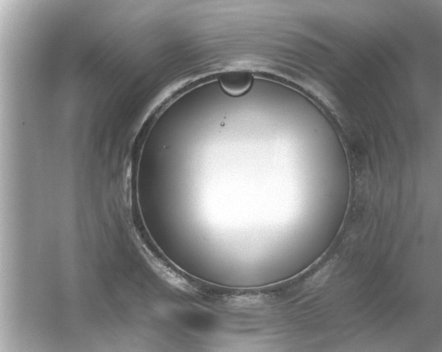 X0000054431126200508051825