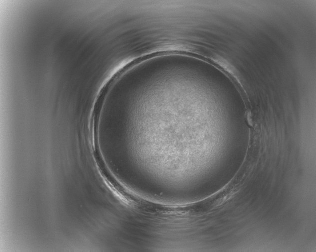 X0000054431127200508051826