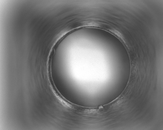 X0000054431135200508051826