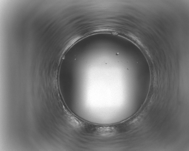 X0000054431137200508051826