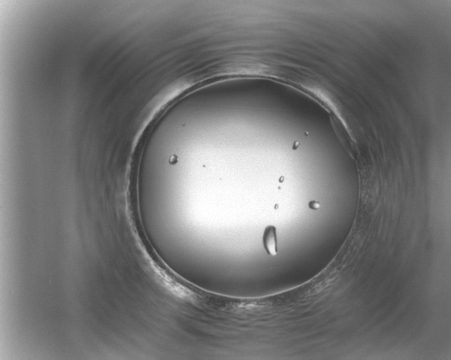 X0000054431139200508051826