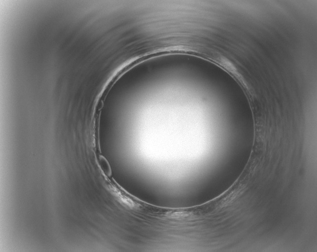 X0000054431140200508051826