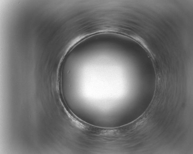 X0000054431143200508051826