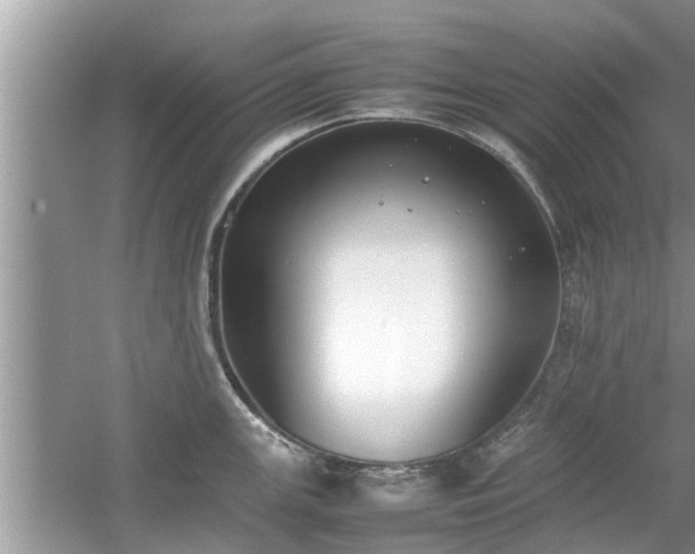 X0000054431147200508051826