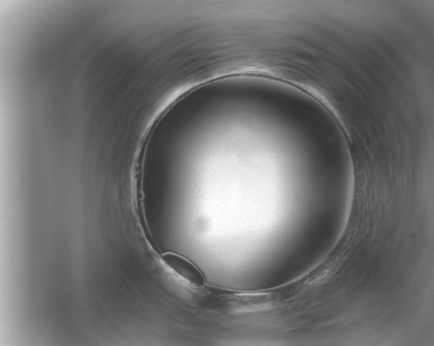 X0000054431151200508051826