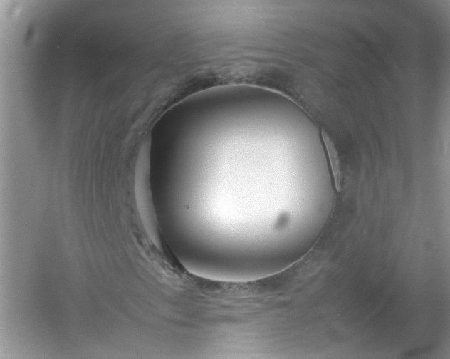 X0000054431153200508051825