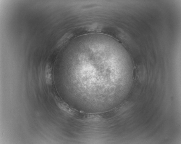 X0000054431154200508051825