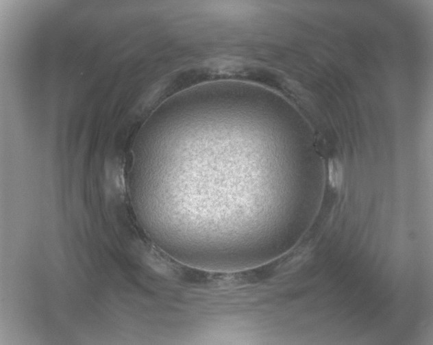 X0000054431155200508051825