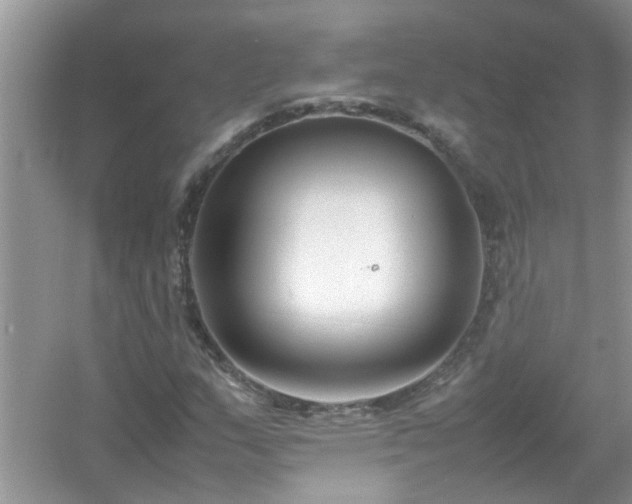 X0000054431159200508051825