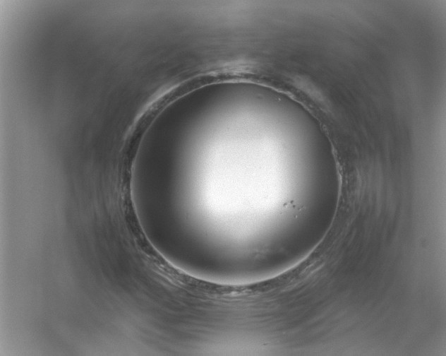 X0000054431160200508051825