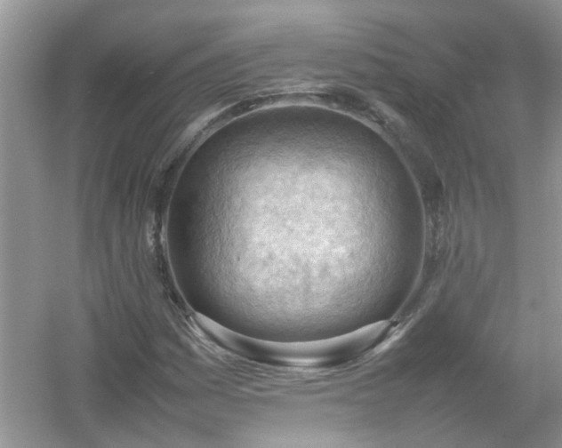 X0000054431161200508051825