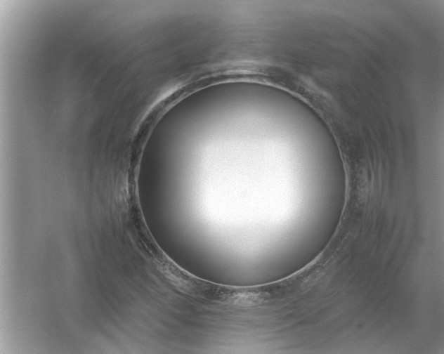 X0000054431166200508051825