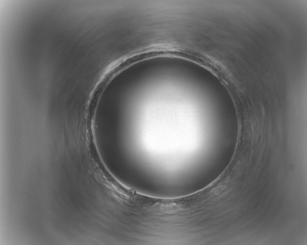 X0000054431168200508051825