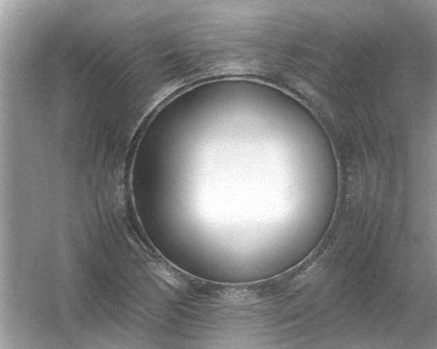 X0000054431170200508051825