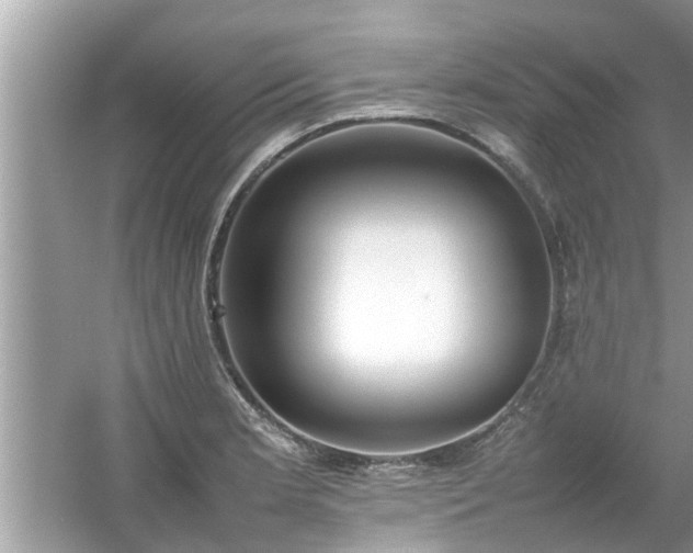 X0000054431181200508051825