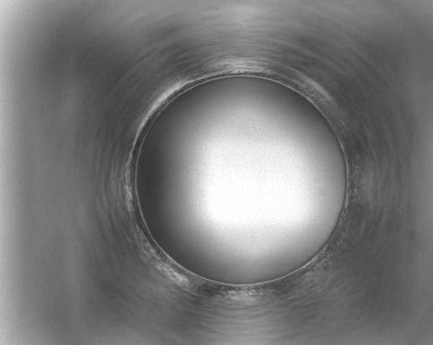 X0000054431182200508051825