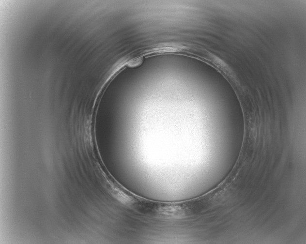 X0000054431186200508051825