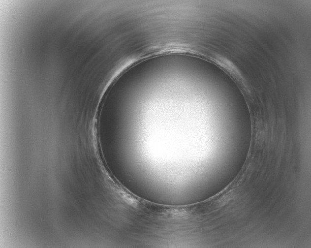 X0000054431190200508051824