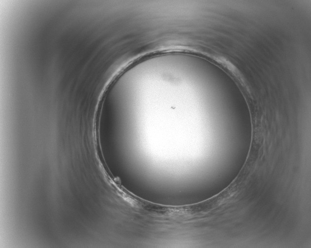 X0000054431191200508051824