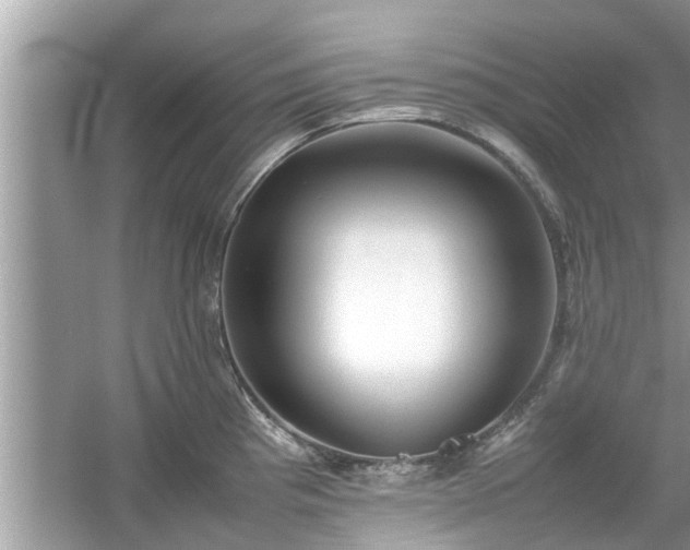 X0000054431193200508051824