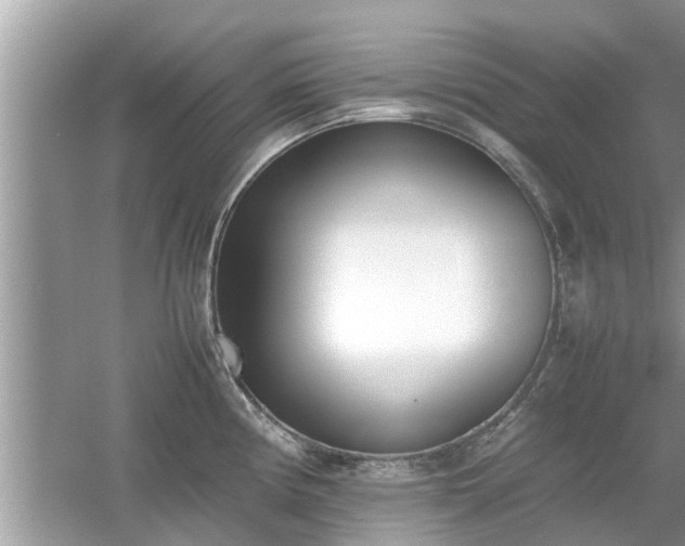 X0000054431194200508051824