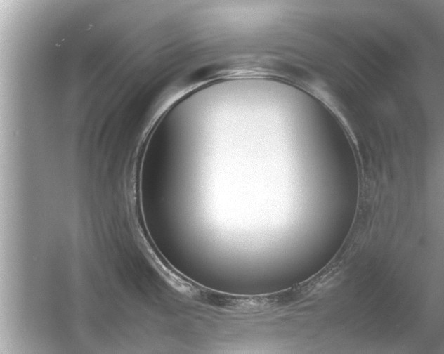 X0000054431195200508051824