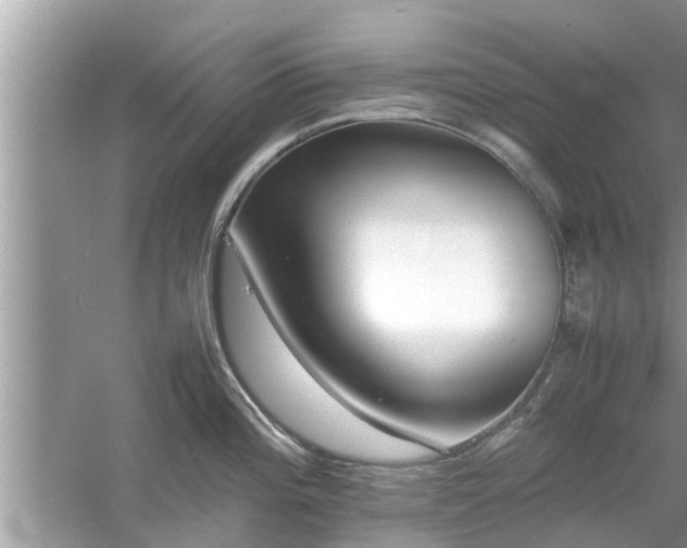 X0000054431196200508051824