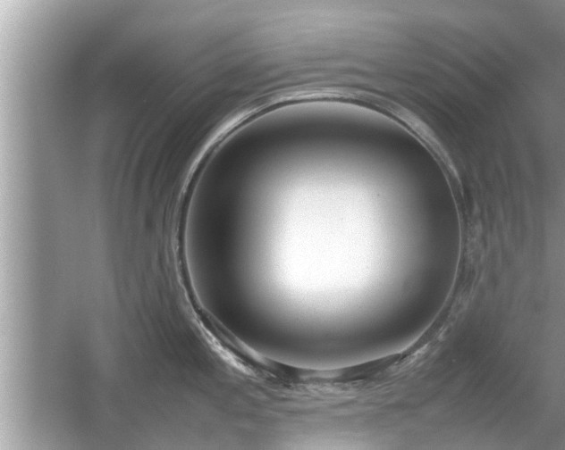 X0000054431197200508051824