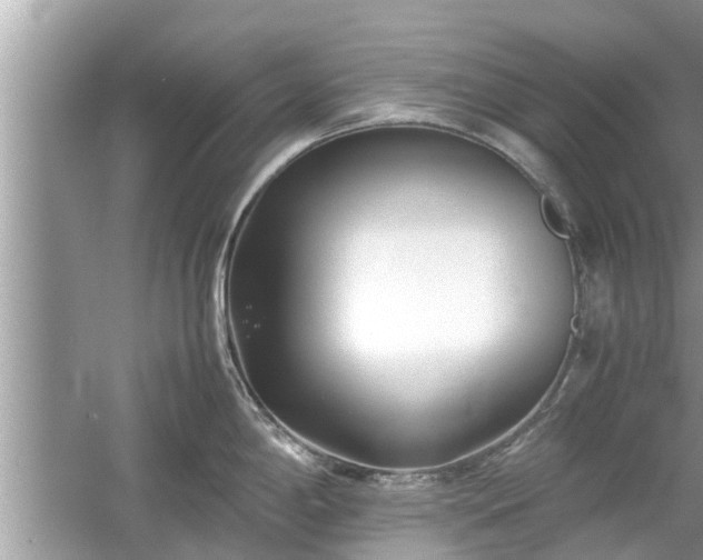 X0000054431198200508051824