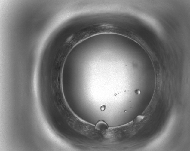 X0000054431199200508051824