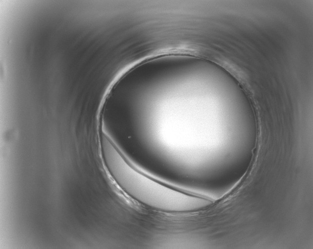 X0000054431200200508051824